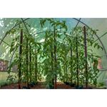 Fóliovník G21 200 x 300 x 200 cm, zelený