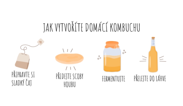kombucha_jak_vyrobit