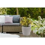 Květináč G21 Cement Round 44 x 44 x 39,5