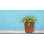 Květináč G21 Element Cork 21 x 21 x 21