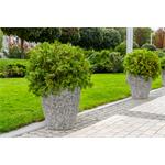 Květináč G21 Natur Plump 36 x 50 x 36