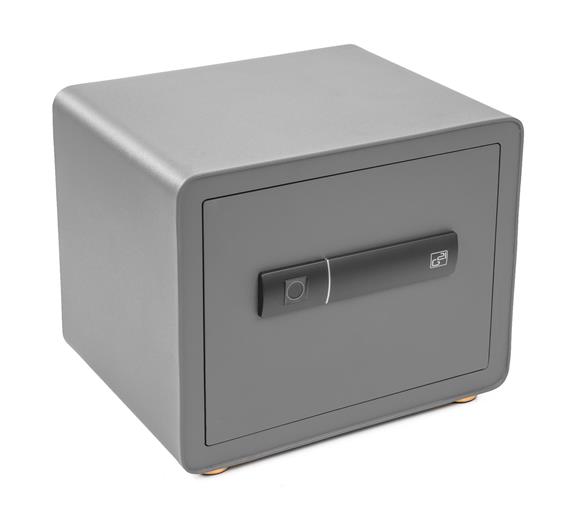 Trezor G21 na otisk prstu 380 x 310 x 300 mm