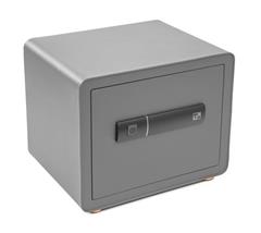 Trezor G21 na otisk prstu 380 x 310 x 300 mm