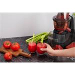 Odšťavňovač G21 Emotion, graphite black