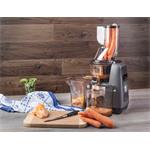 Odšťavňovač G21 Emotion, graphite black