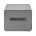 Trezor G21 na otisk prstu 380 x 310 x 300 mm