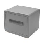 Trezor G21 na otisk prstu 380 x 310 x 300 mm