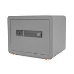 Trezor G21 na otisk prstu 380 x 310 x 300 mm