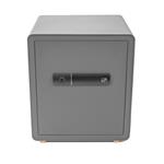 Trezor G21 na otisk prstu 400 x 450 x 350 mm 