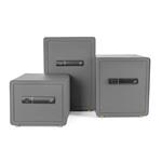 Trezor G21 na otisk prstu 420 x 600 x 380 mm