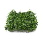 Umělá zelená stěna G21 Listo Berry, 50x50 cm