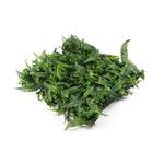 Umělá zelená stěna G21 Listo Ferns, 50x50 cm