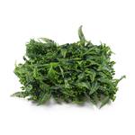 Umělá zelená stěna G21 Listo Ferns, 50x50 cm