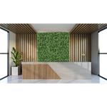 Umělá zelená stěna G21 Listo Ferns, 50x50 cm