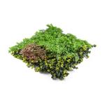 Umělá zelená stěna G21 Listo Forest, 50x50 cm