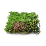 Umělá zelená stěna G21 Listo Forest, 50x50 cm
