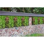 Umělá zelená stěna G21 Listo Forest, 50x50 cm