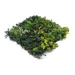 Umělá zelená stěna G21 Listo Jungle, 50x50 cm