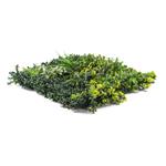 Umělá zelená stěna G21 Listo Jungle, 50x50 cm