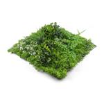 Umělá zelená stěna G21 Listo River, 50x50 cm