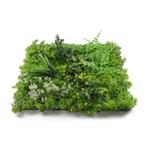 Umělá zelená stěna G21 Listo River, 50x50 cm