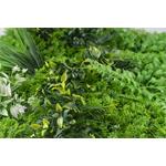 Umělá zelená stěna G21 Listo River, 50x50 cm