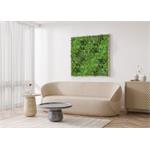 Umělá zelená stěna G21 Listo River, 50x50 cm